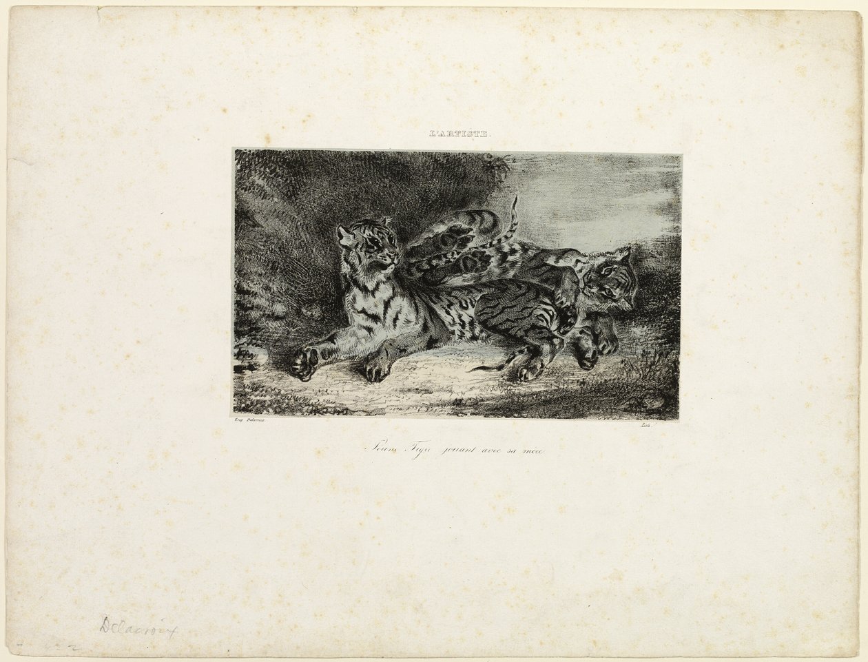 Mladý tygr si hraje se svou matkou od Eugène Delacroix