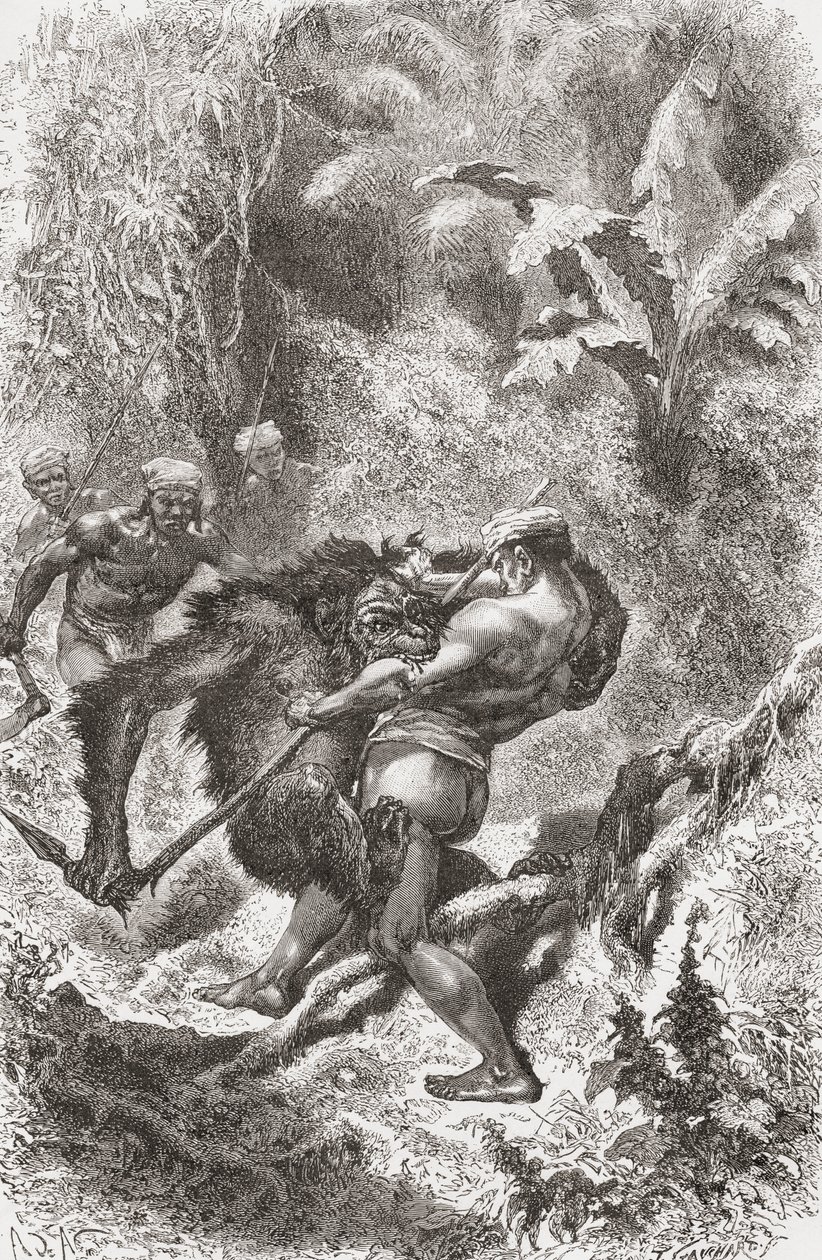 Rodák z Dayaku z Bornea bojující s orangutanem, z „El Mundo en la Mano“, vydáno 1878 od European School