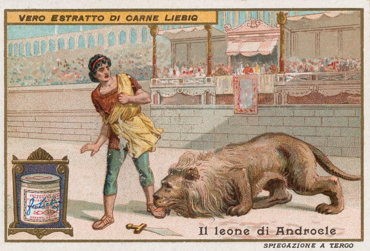 Androkles a lev od European School