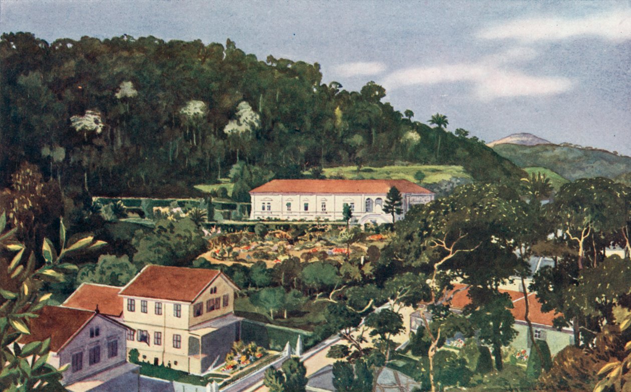 Legát Jeho Britského Veličenstva, Petropolis (barevná litografie) od European School