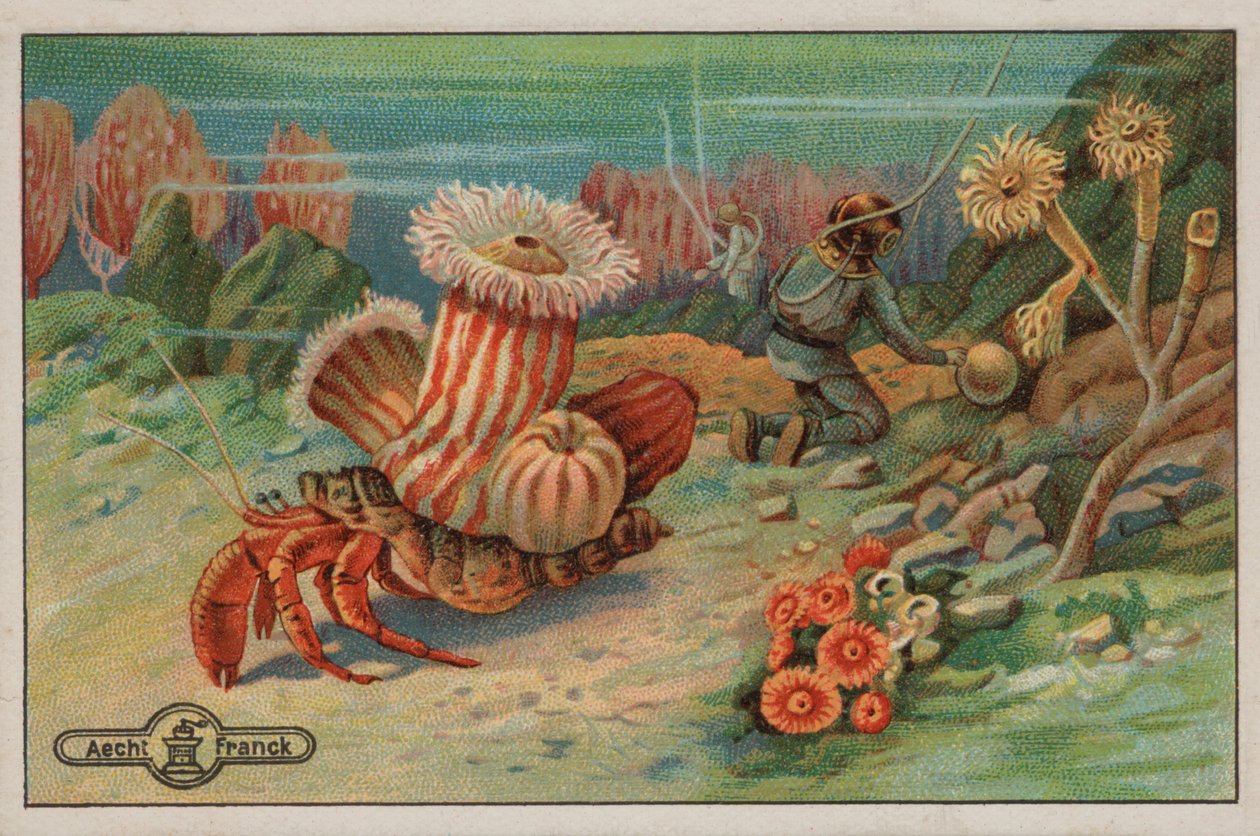 Scéna na mořském dně (chromolit) od European School