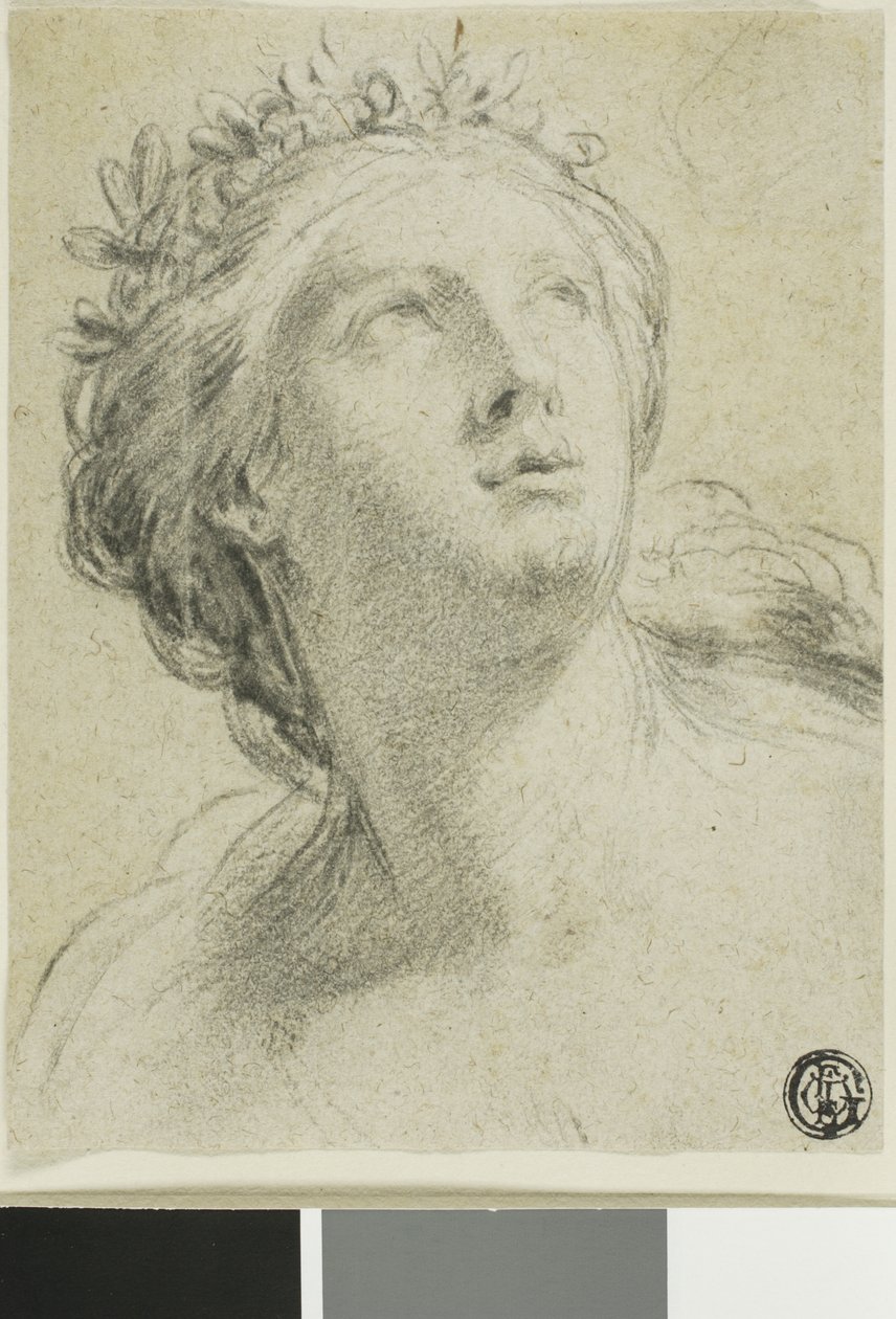 Hlava ženy od Eustache Le Sueur