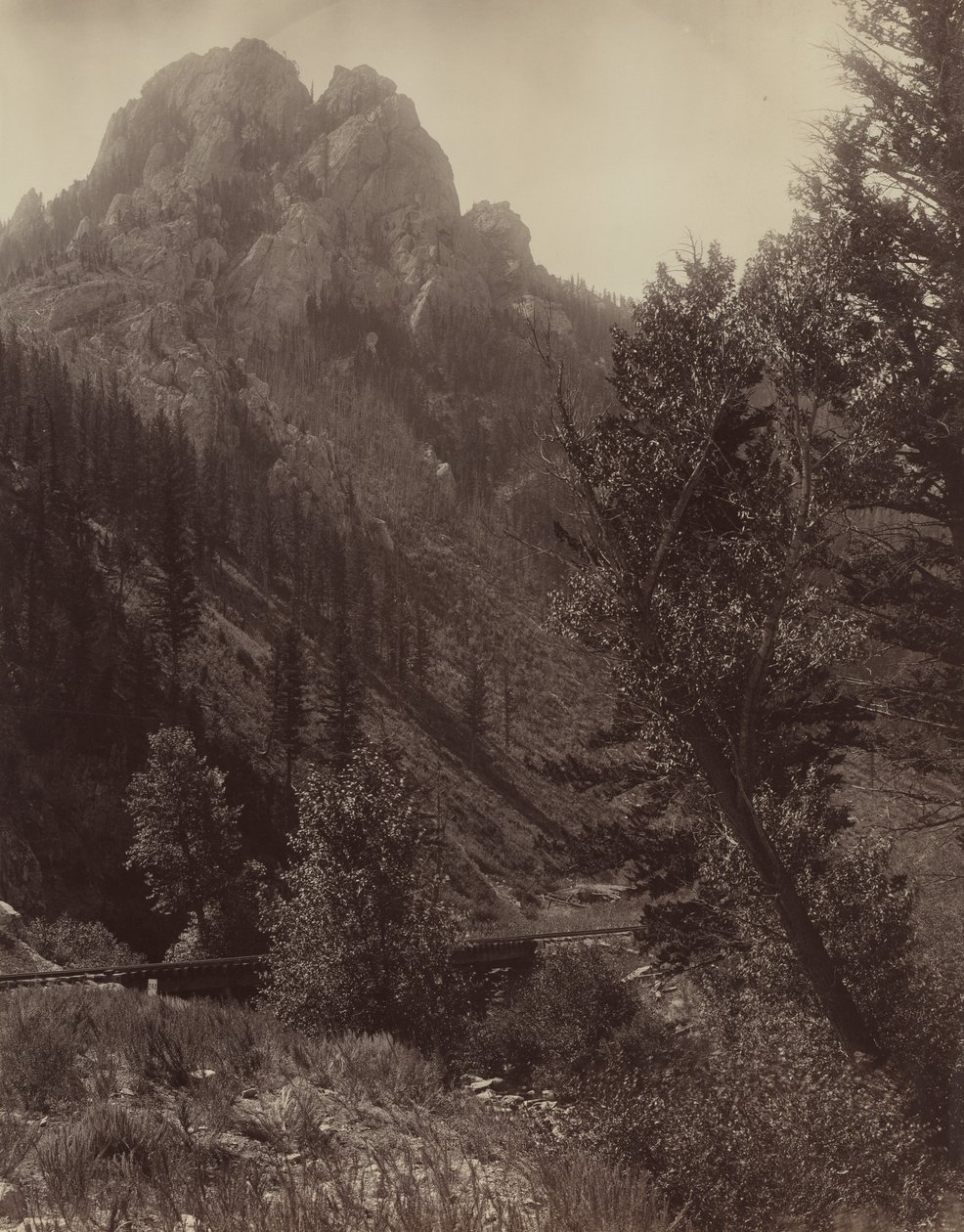 Bez názvu, c. 1884. od F. Jay Haynes
