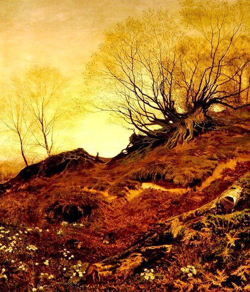 Na Leith Hill, Surrey (olej na plátně) od Fanny Mearns