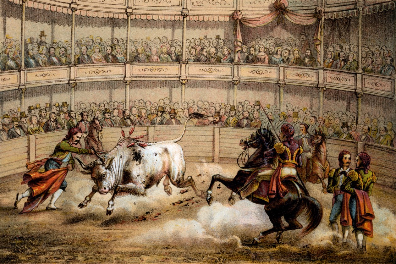 Býčí zápasy, 1840 od Federico Mialhe