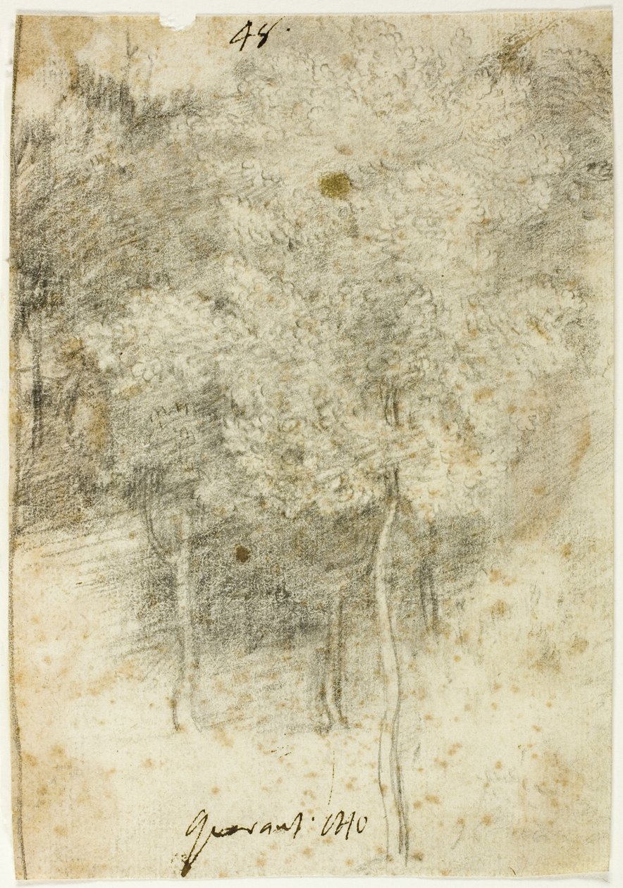 Háj stromů od Federico Barocci
