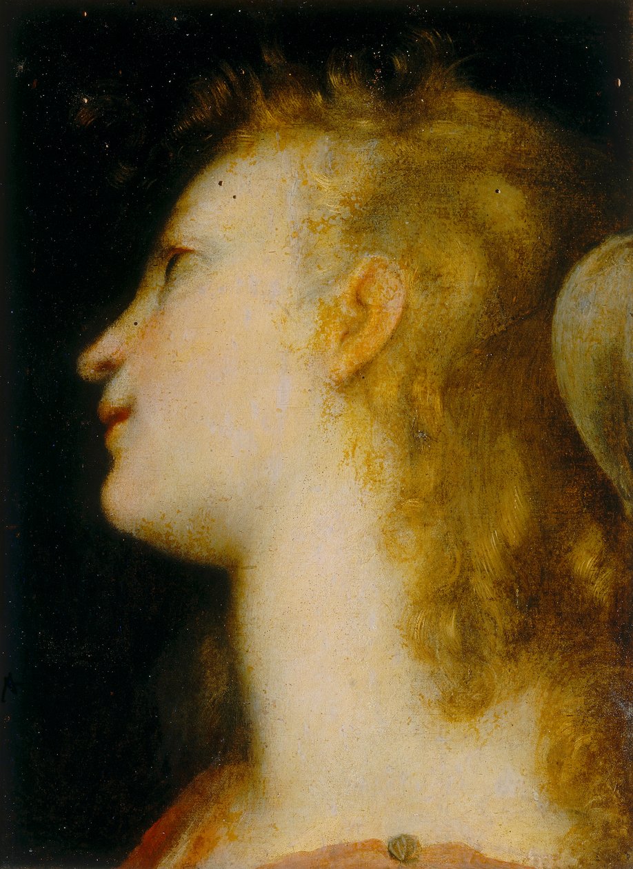 Hlava anděla od Federico Barocci