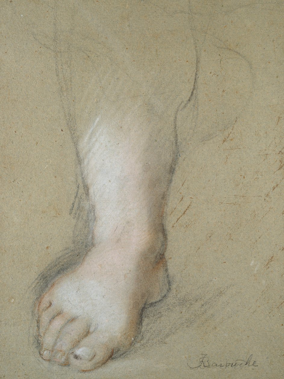 Studie nohy, konec 16. století od Federico Barocci