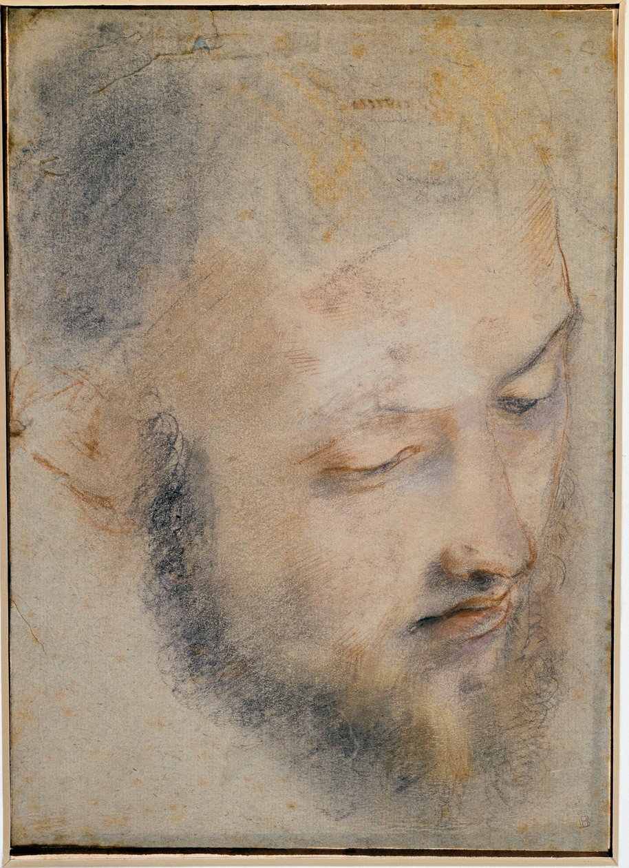 Studie hlavy Kresba Barocci od Federico Barocci