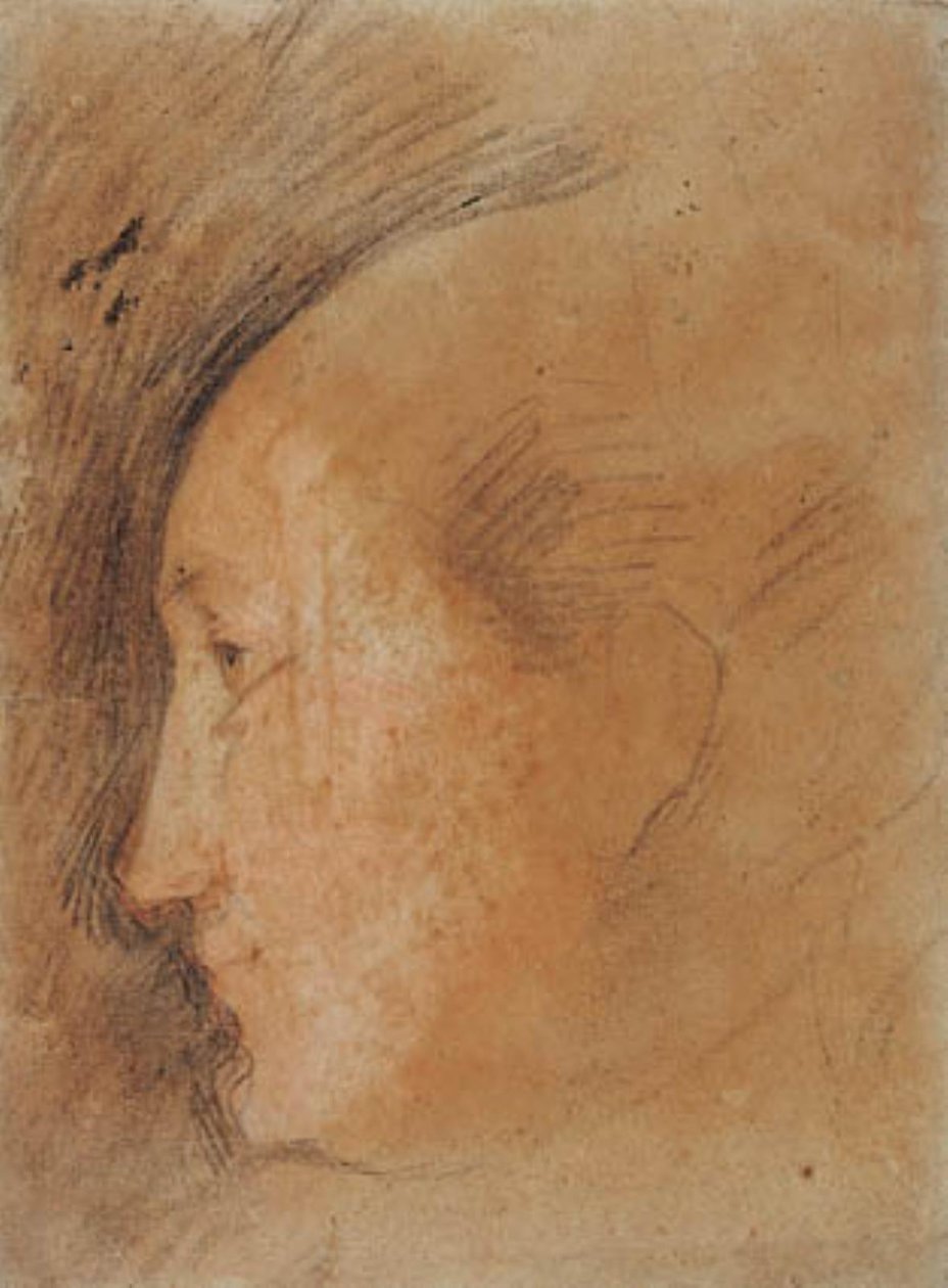 Ženská hlava v profilu vlevo od Federico Barocci