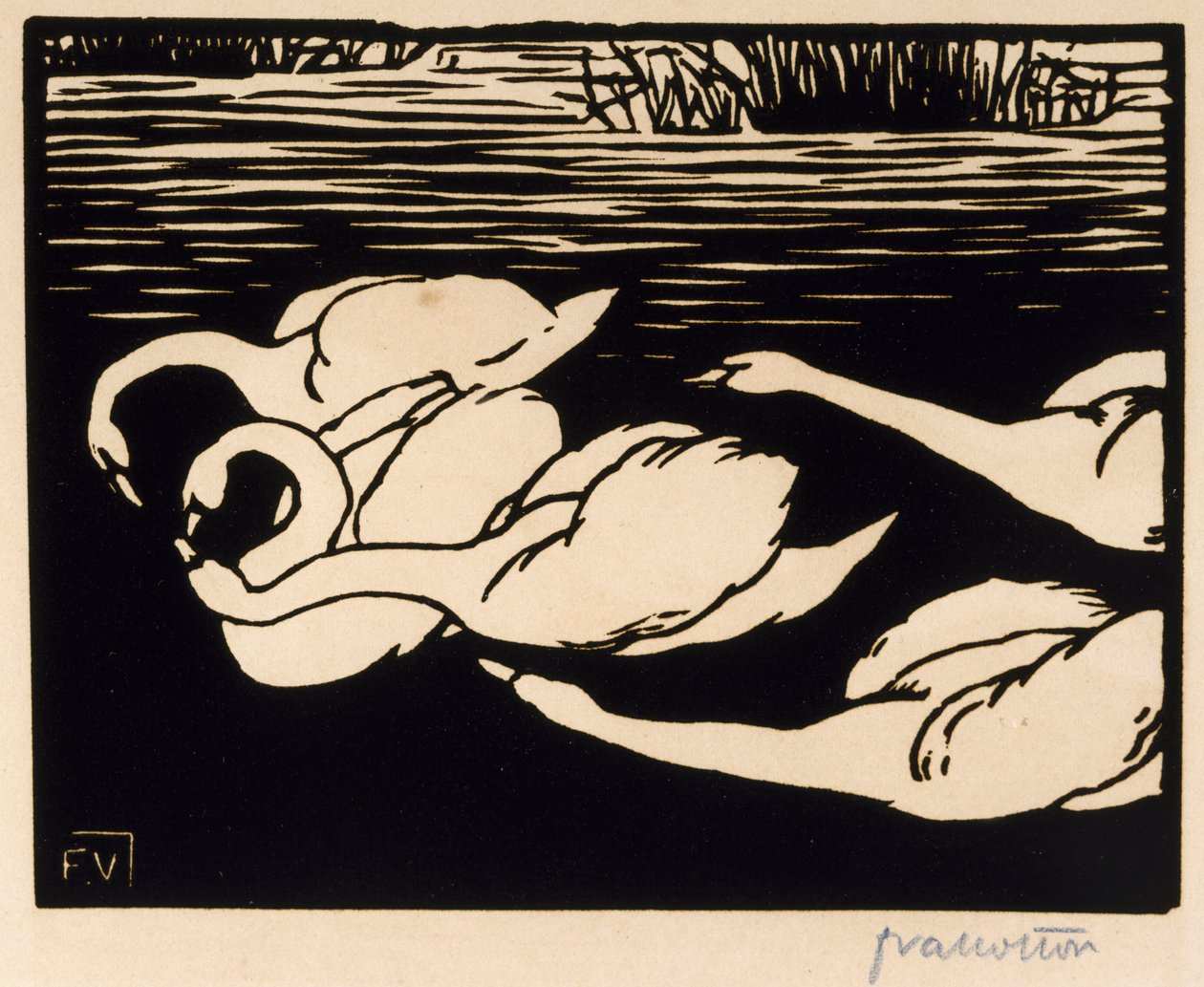 Labutě, 1892 od Felix Edouard Vallotton