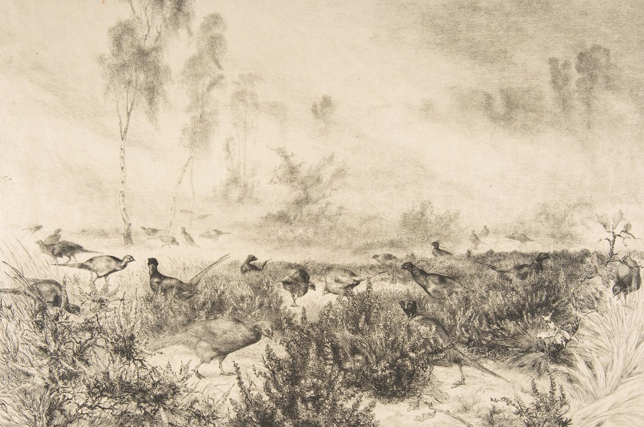 Ranní mlhy, 1882. od Felix Bracquemond