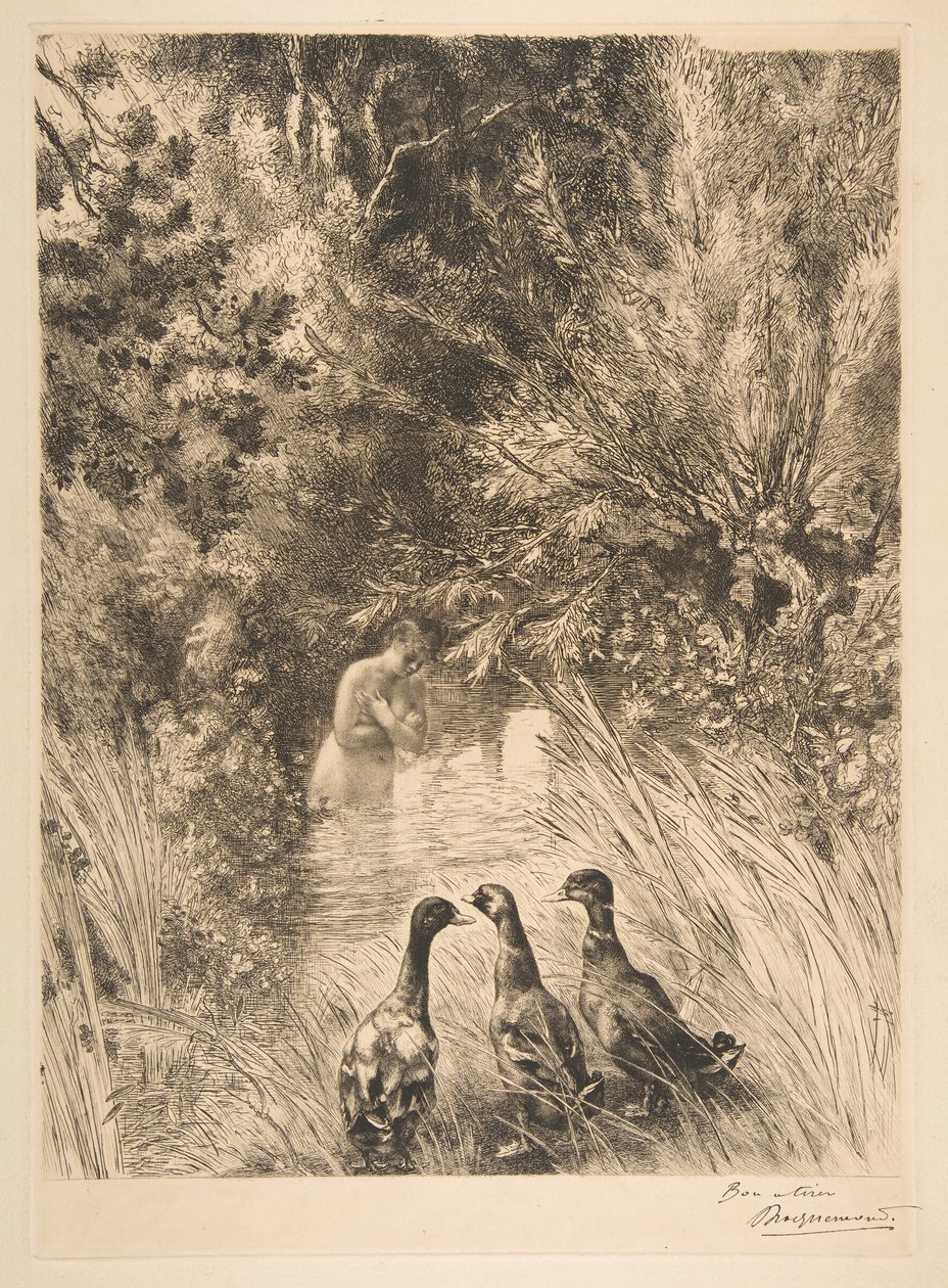 Překvapené kachny, 1882. od Felix Bracquemond