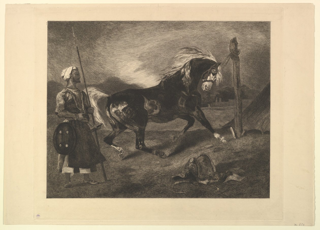 Arabský kůň na kůlu, po Delacroix, 1857. od Felix Bracquemond