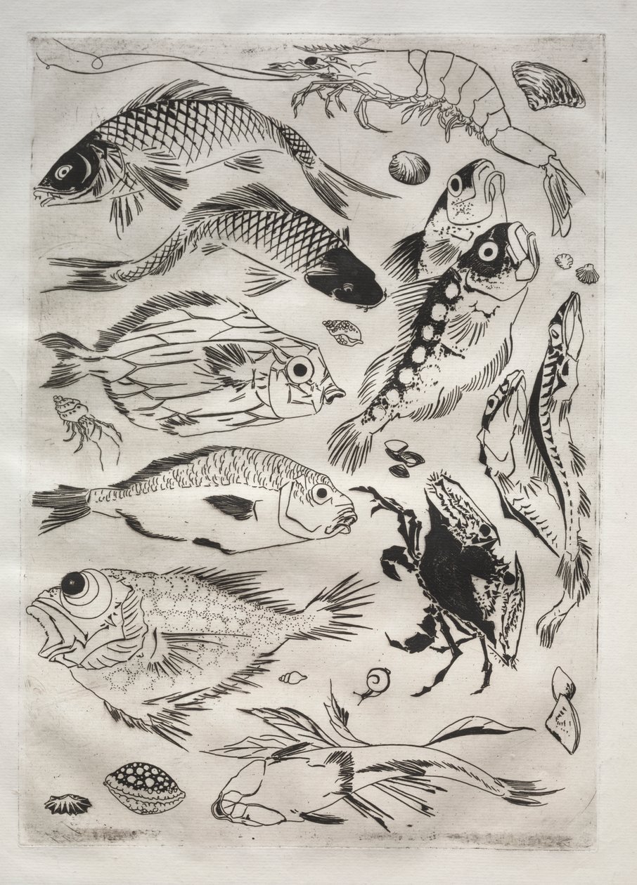 Večeře (servis Rousseau): Ryba (č. 24) od Felix Bracquemond