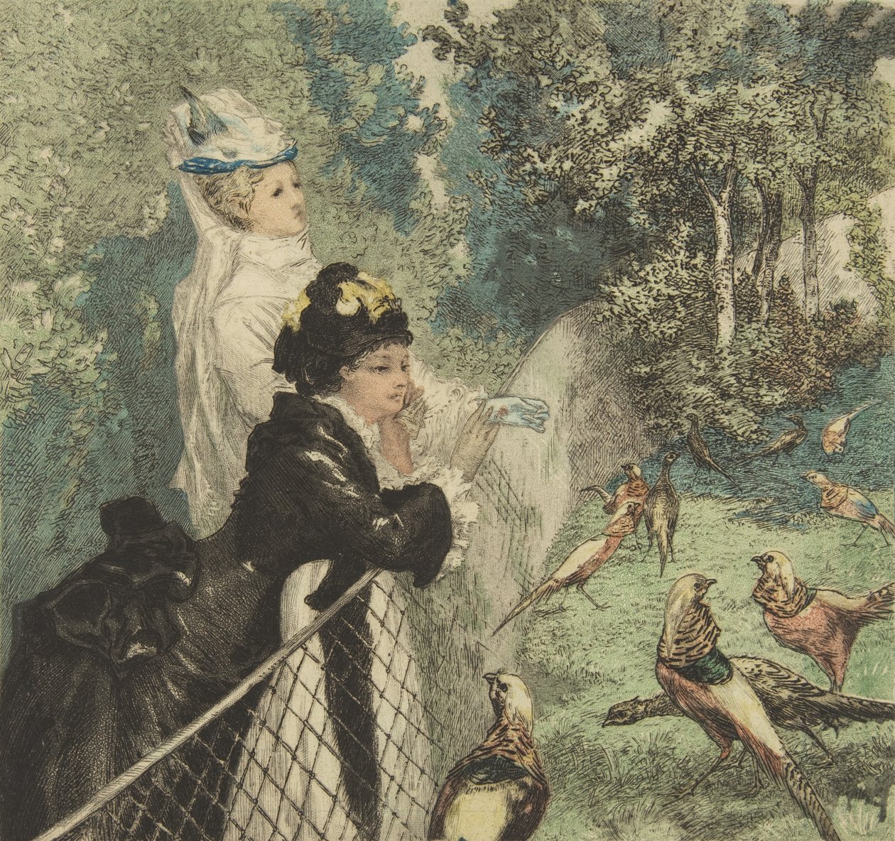 V zoologické zahradě, ca. 1873. od Felix Bracquemond