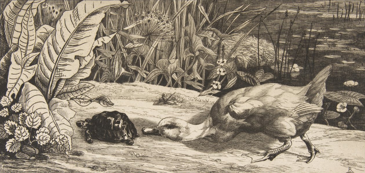 Neznámý, 1862. od Felix Bracquemond