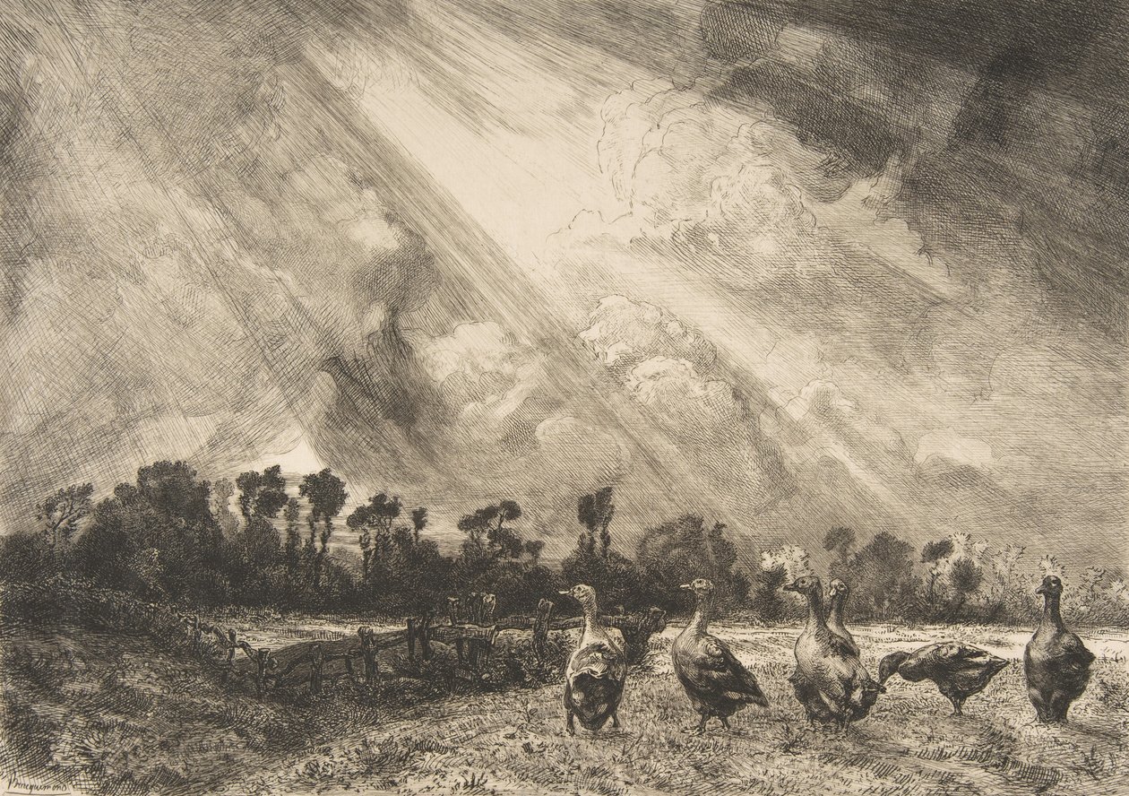 Bouřkový mrak, 1882-84. od Felix Bracquemond