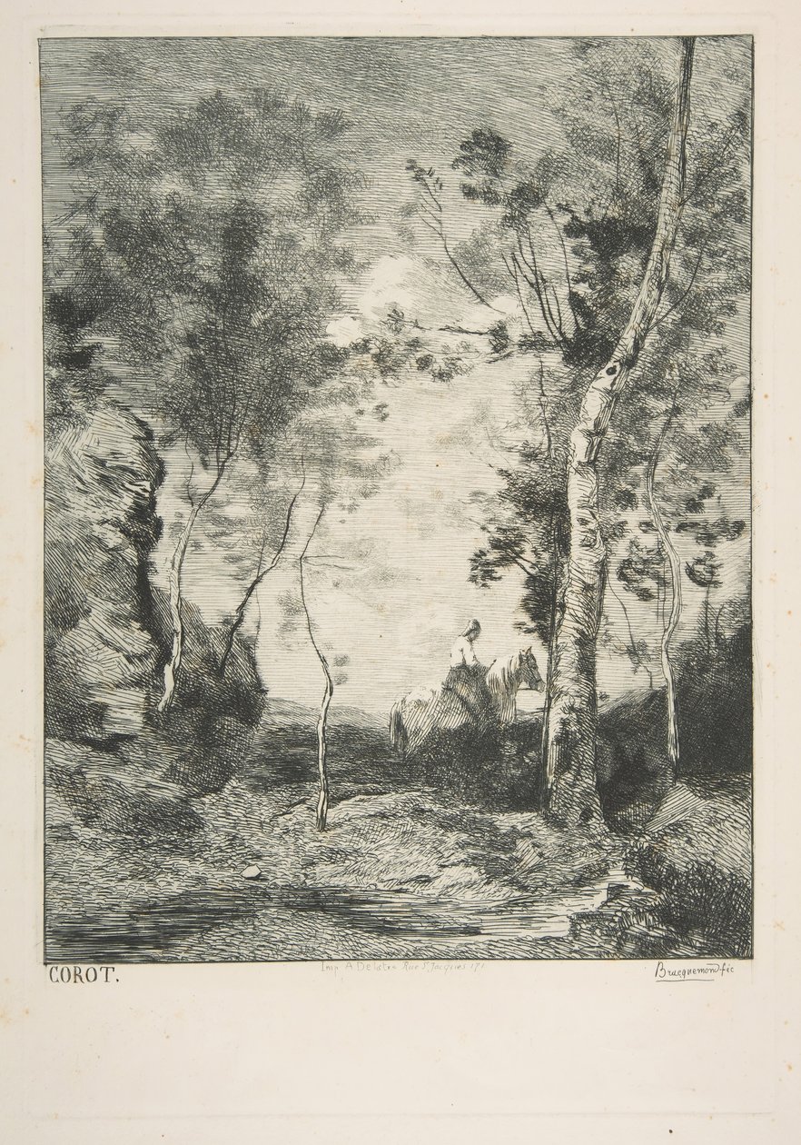 Bílý kůň, 1858. od Felix Bracquemond