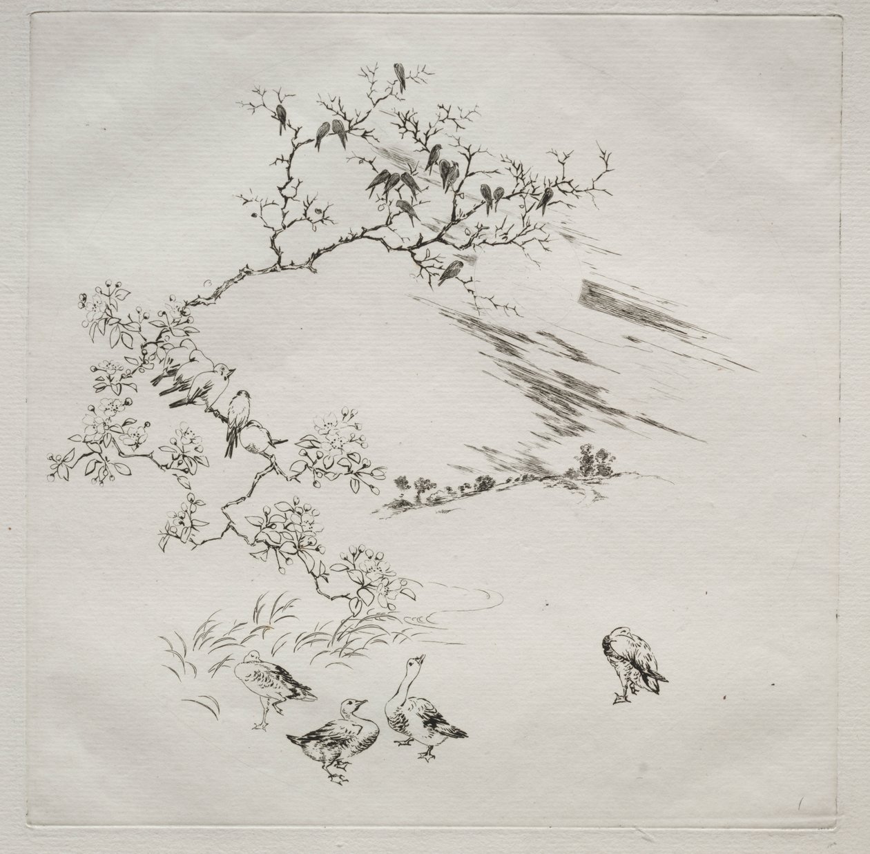 Pařížská služba (služba Haviland): Noční (č. 7) od Felix Bracquemond