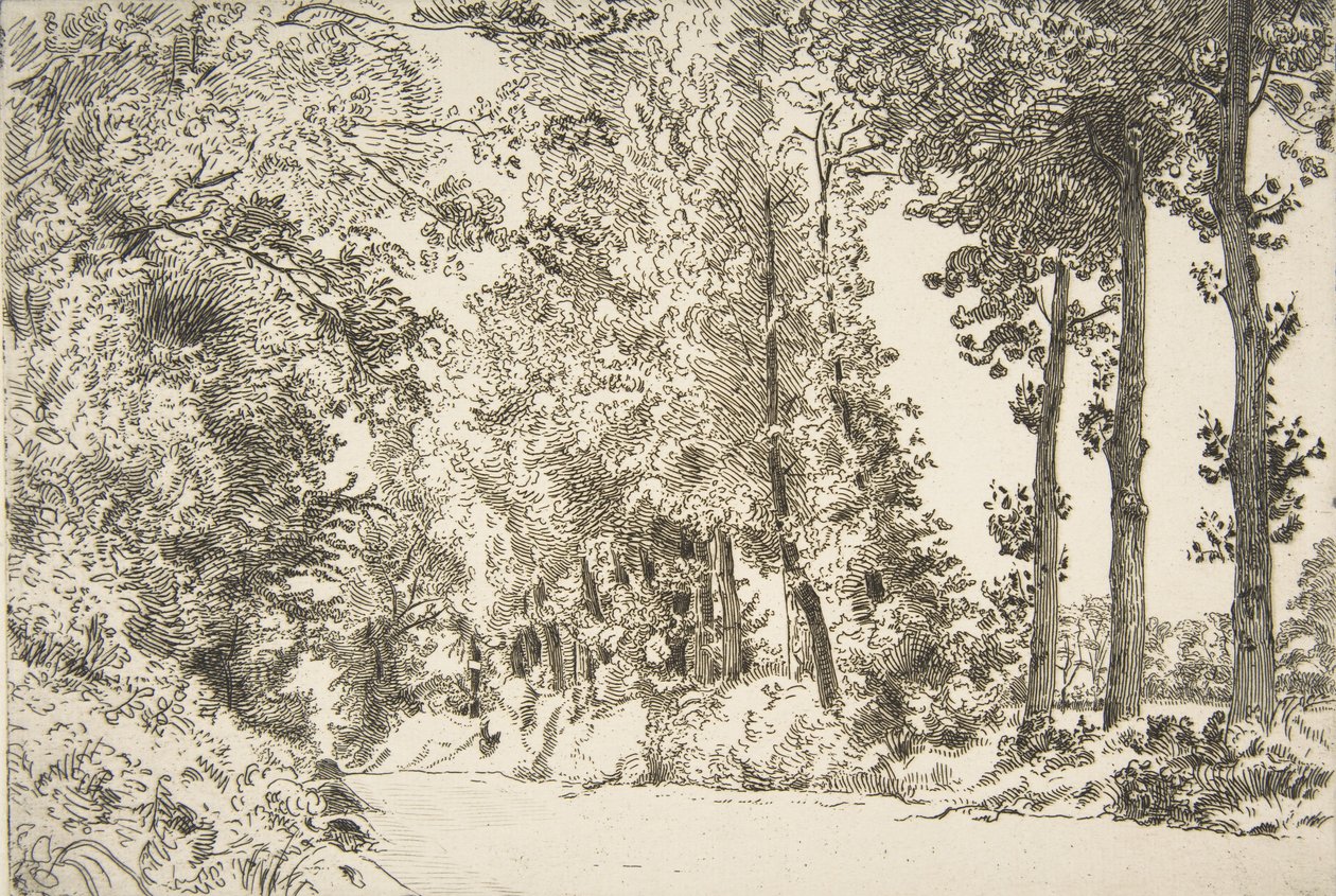 Rue des Bruyères, v Sèvres, 1868. od Felix Bracquemond