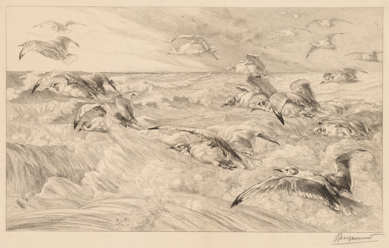 Racci od Felix Bracquemond