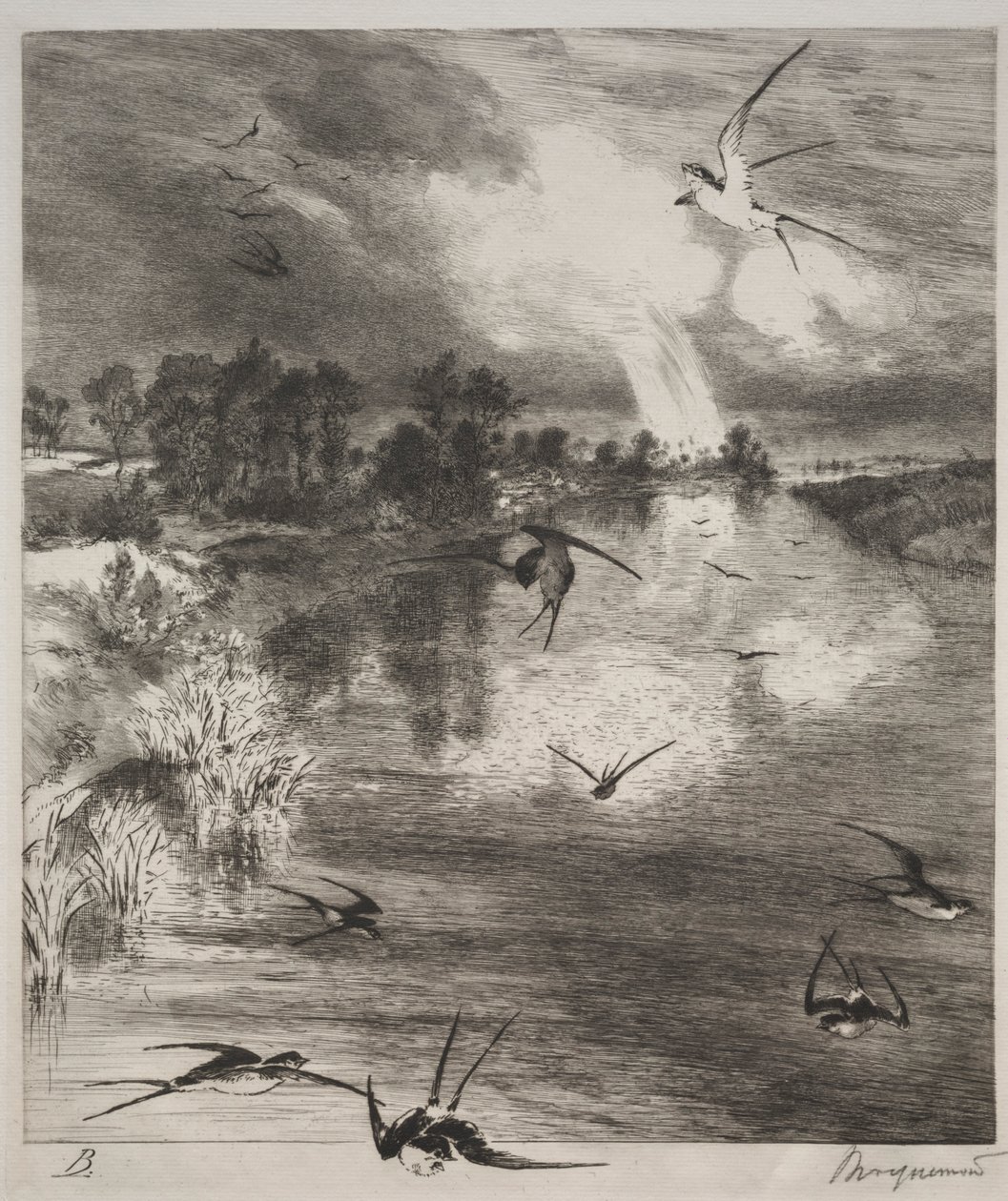 Vlaštovky, 1882. od Felix Bracquemond