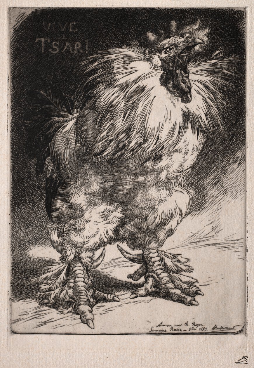 Francouzský kohout od Felix Bracquemond