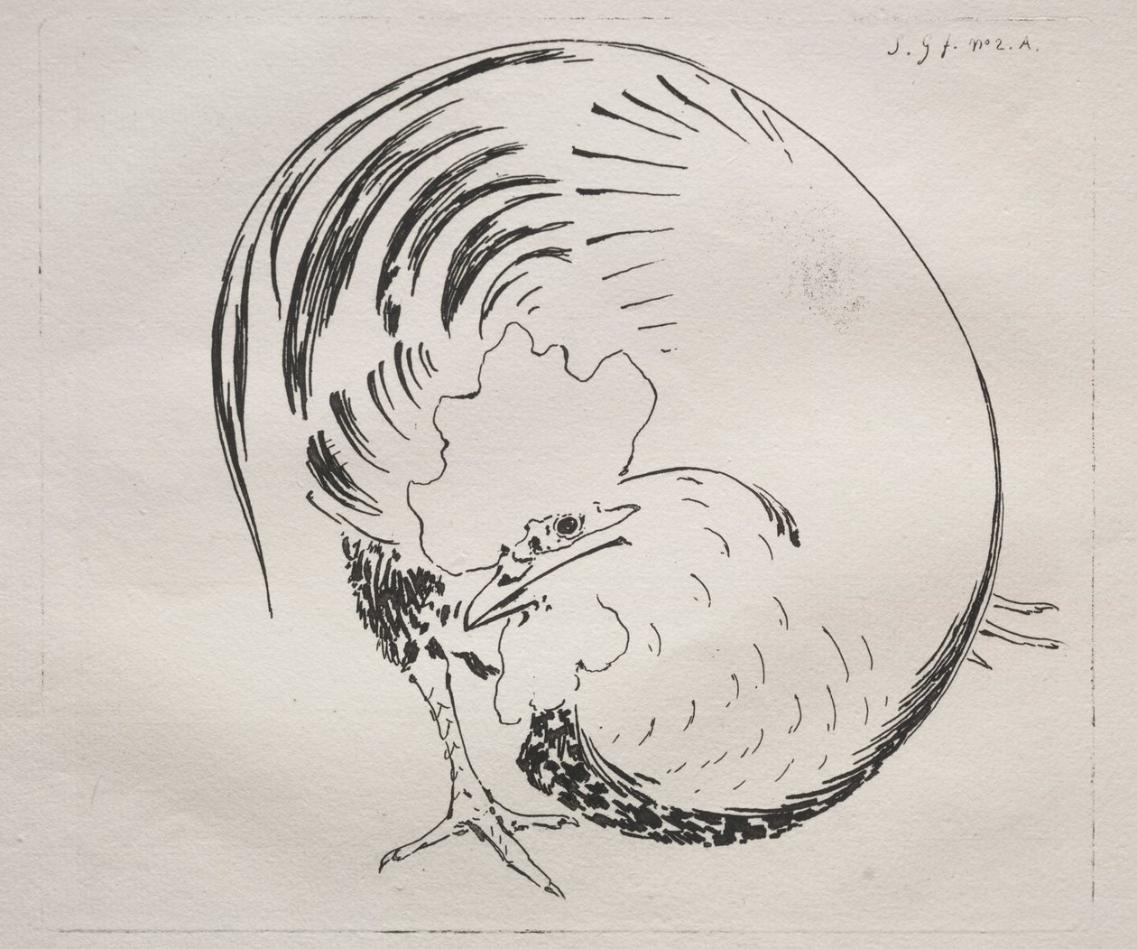 High-Fired Service: Rooster counterproof, c. 1860. od Felix Bracquemond