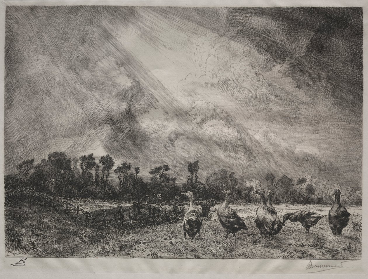 Bouřkový mrak, 1878-1887. od Felix Bracquemond