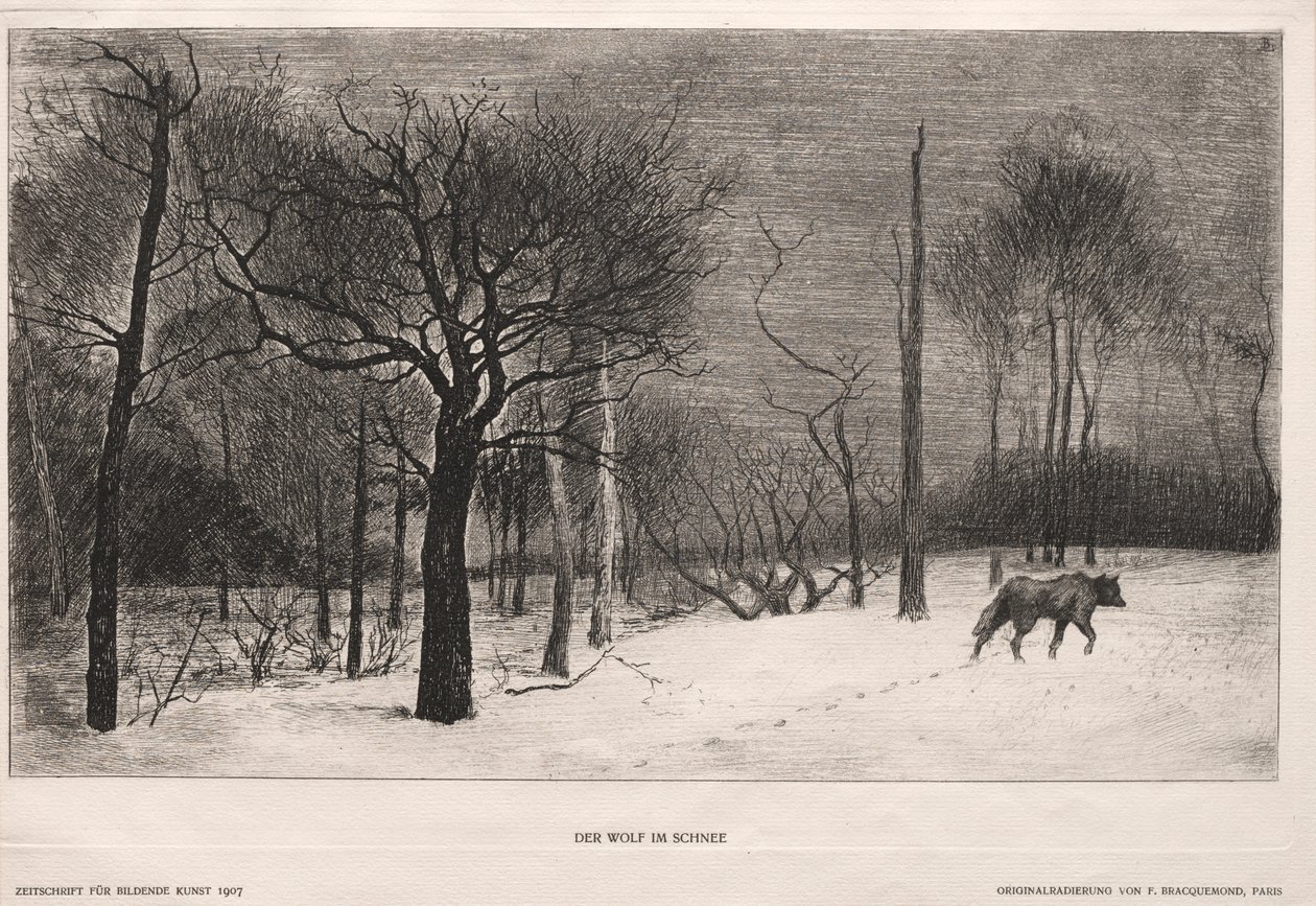 Zima od Felix Bracquemond