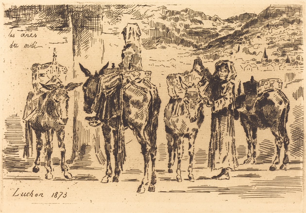 Listy oslů z jihu, 1873. od Felix Hilaire Buhot