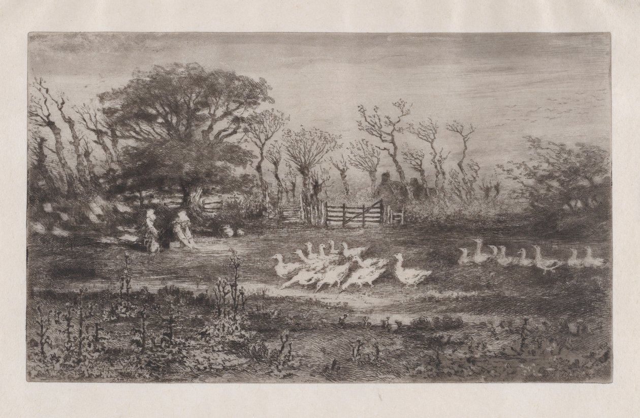 Husy, 1860-98. od Felix Hilaire Buhot