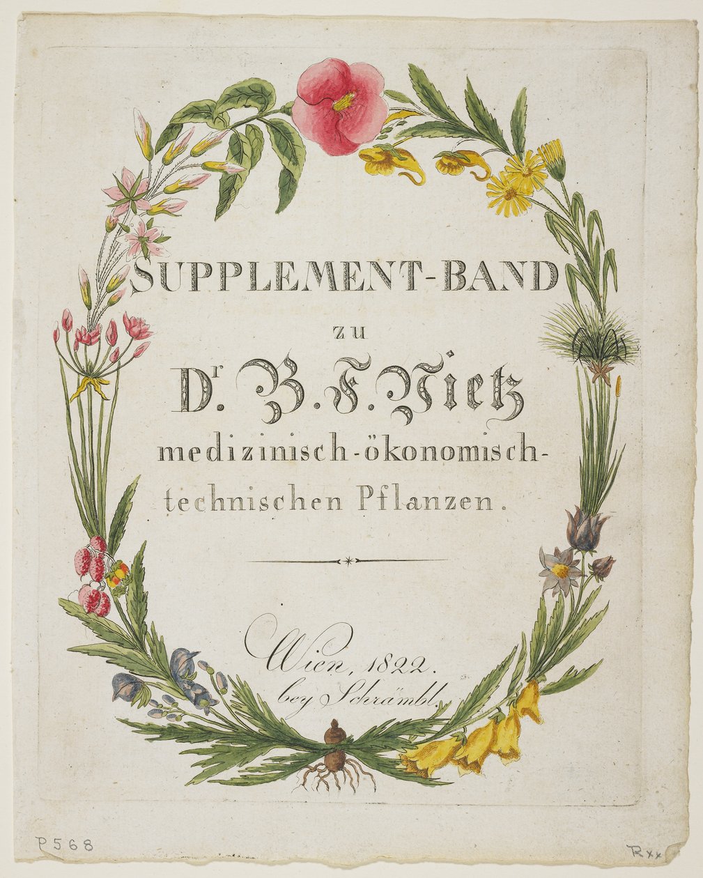 Frontispis a titulní strana k Supplement-Band zu Dr. B. F. Vietz medizinisch-okonomisch-technischen Pflanzen od Ferdinand Bernhard Vietz