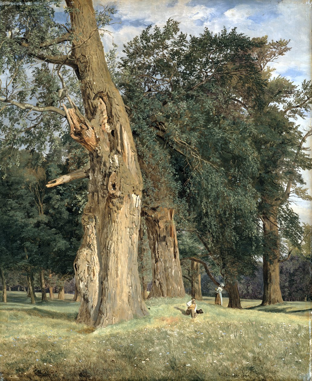 Staré jilmy v Prátru, 1831 od Ferdinand Georg Waldmuller