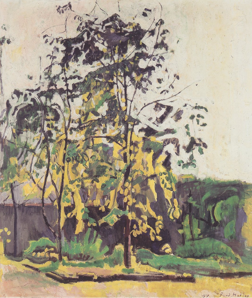 Stromy ve studiové zahradě od Ferdinand Hodler