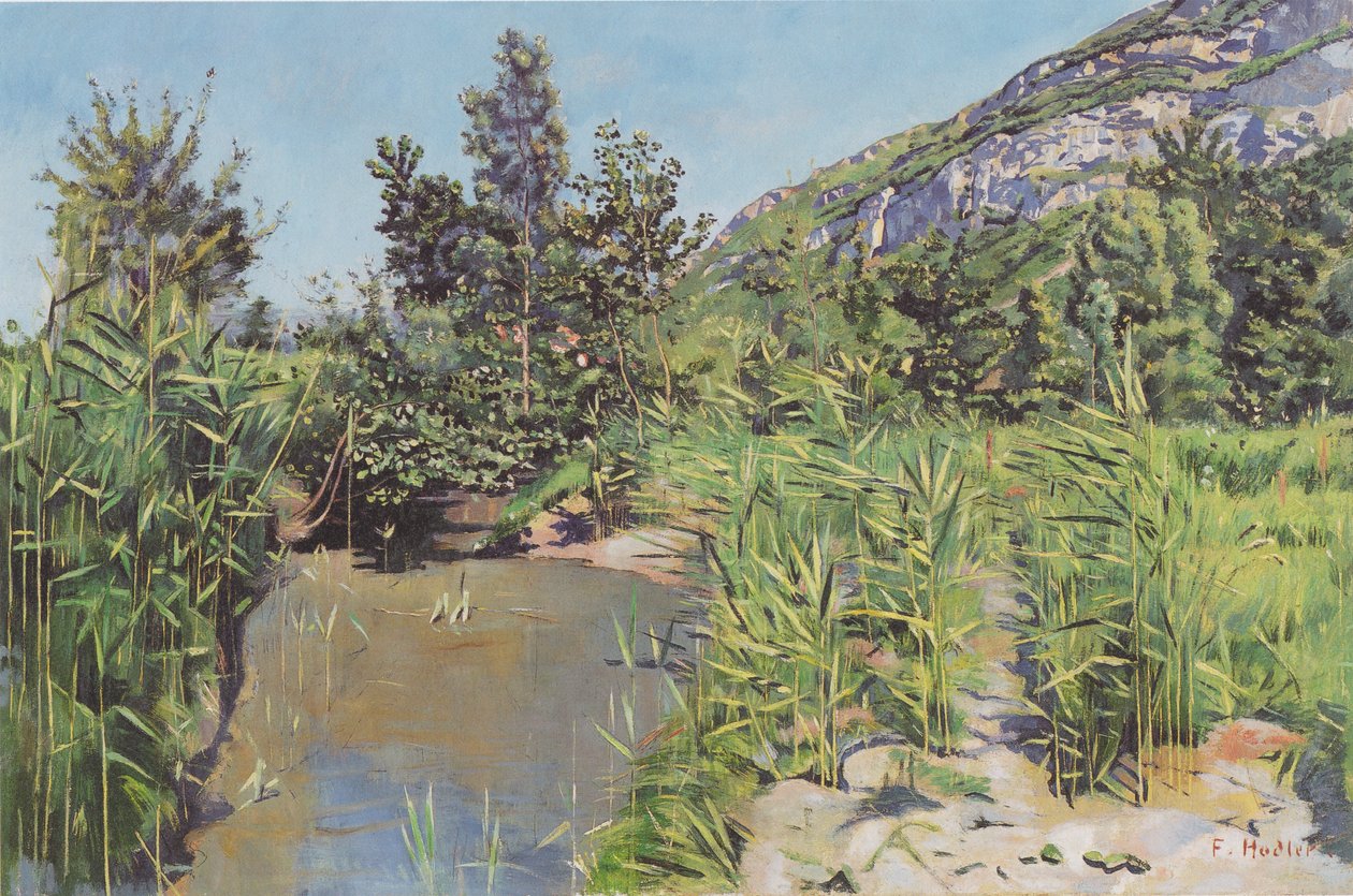 Krajina rybníka poblíž Veyrier od Ferdinand Hodler