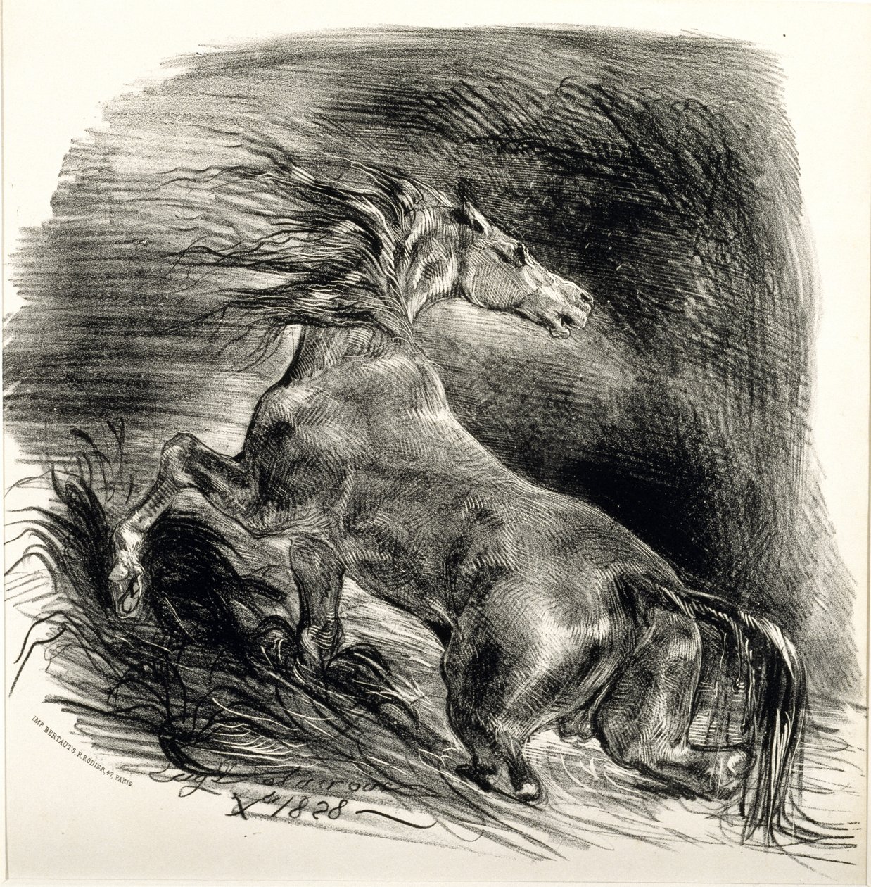 Cheval sauvage, 1828 (litho na tkaném papíře) od Ferdinand Victor Eugene Delacroix