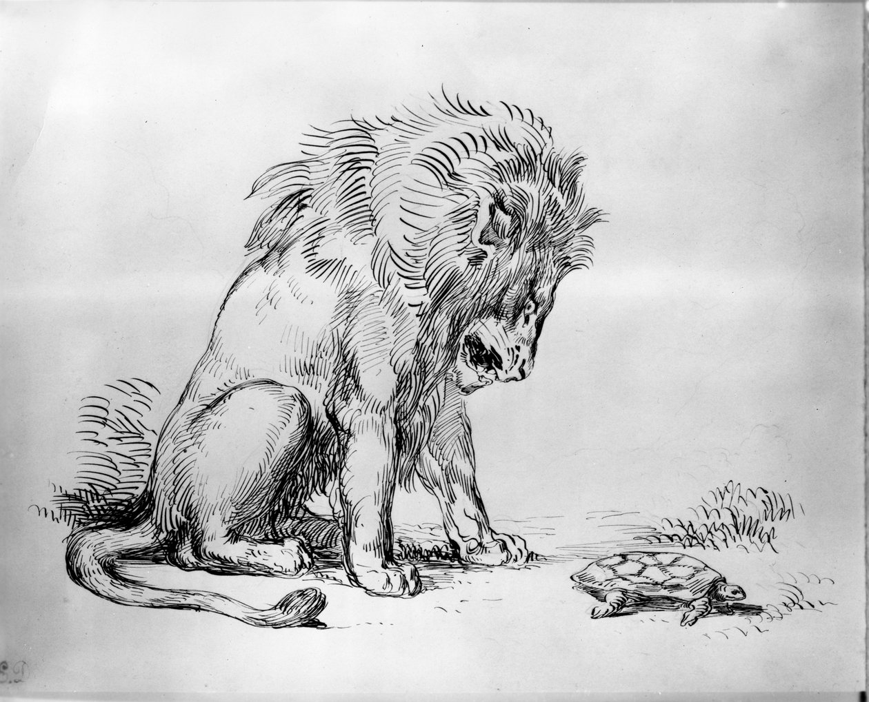 Lev a želva od Ferdinand Victor Eugene Delacroix