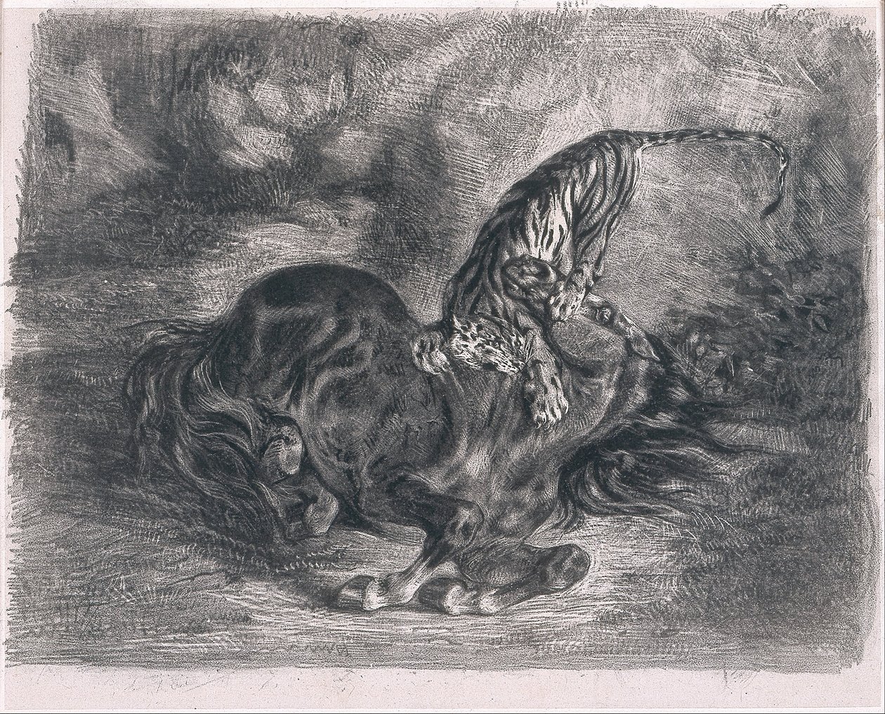 Divoký kůň poražený tygrem od Ferdinand Victor Eugene Delacroix