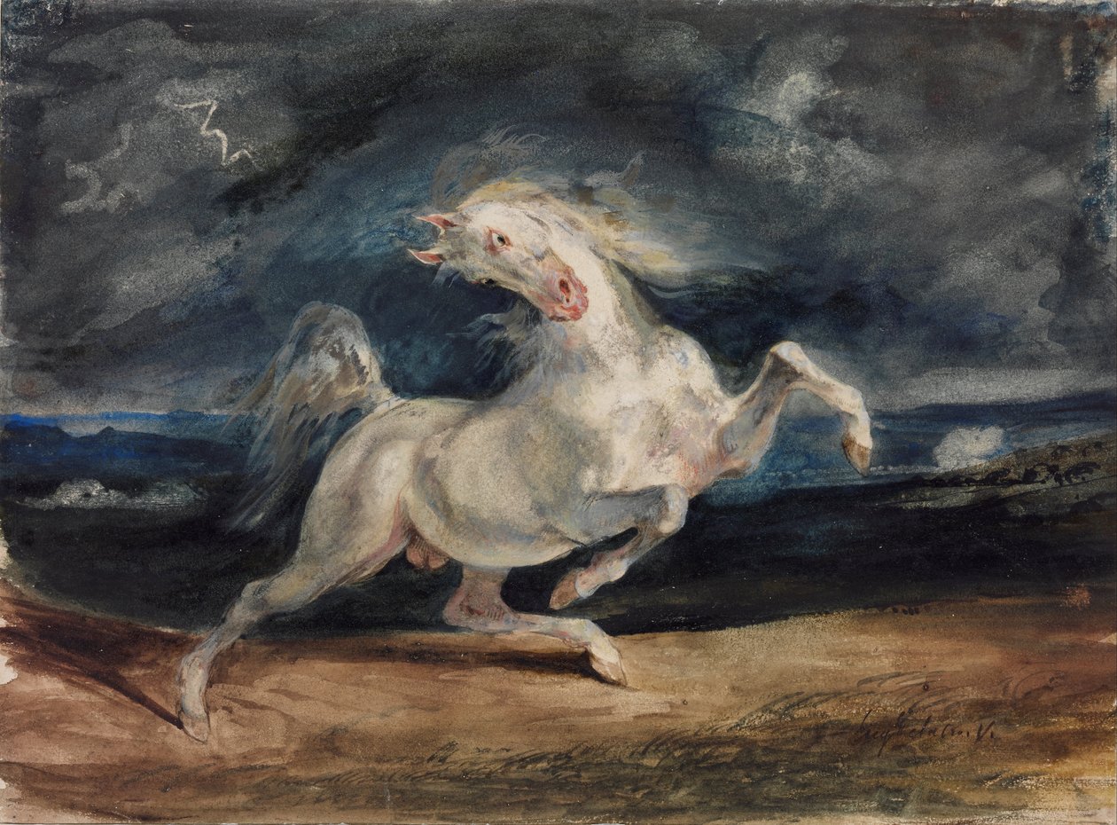 Kůň vyděšený bleskem od Ferdinand Victor Eugene Delacroix