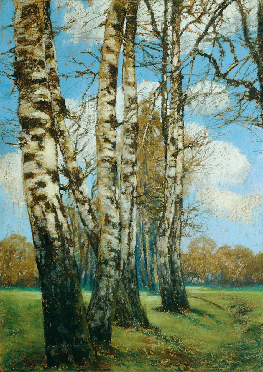 Bříza od Ferdinand Engelmuller