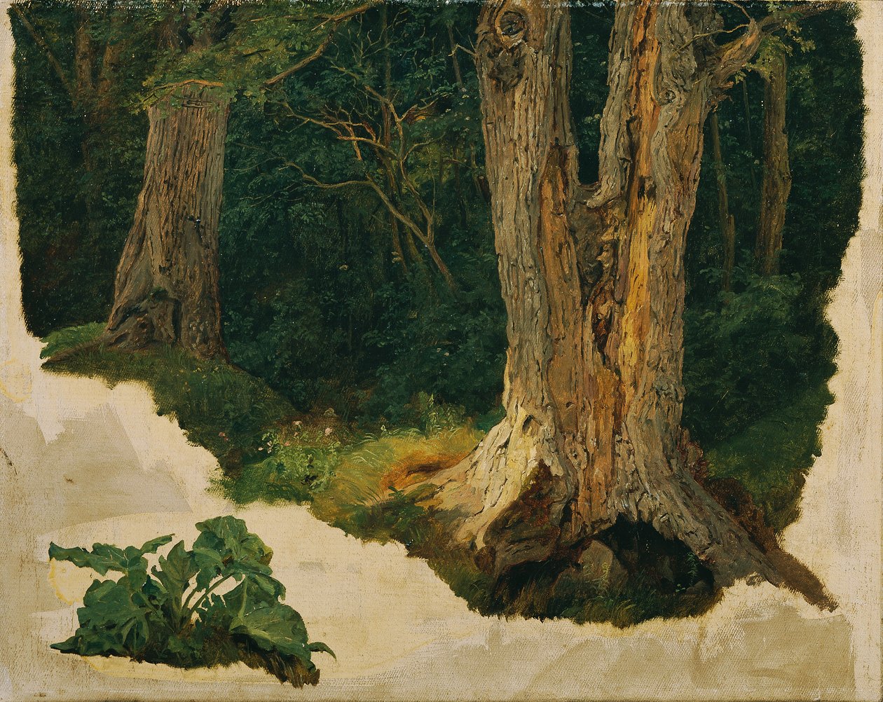 studie stromů od Ferdinand Georg Waldmuller