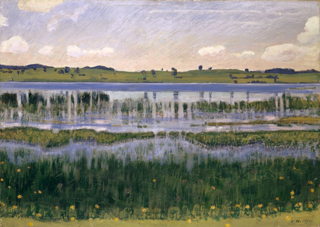 Jezero Burgäschi poblíž Langenthal, kolem roku 1901. od Ferdinand Hodler