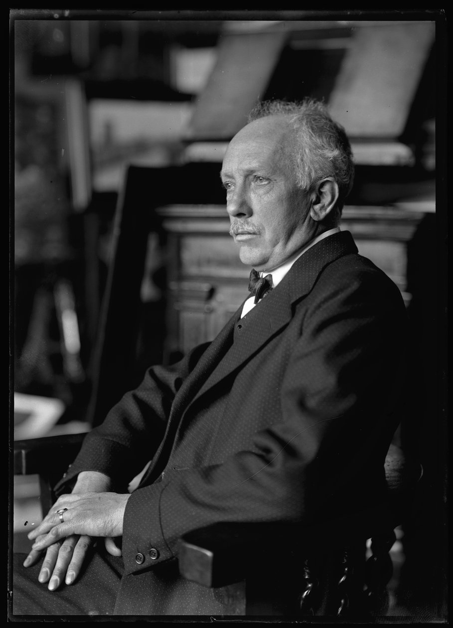 Obraz Richarda Strausse (1864-1949) od Ferdinand Schmutzer