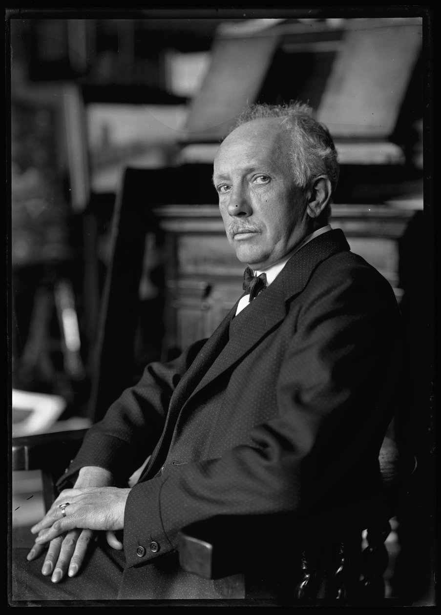 Obraz Richarda Strausse (1864-1949) od Ferdinand Schmutzer