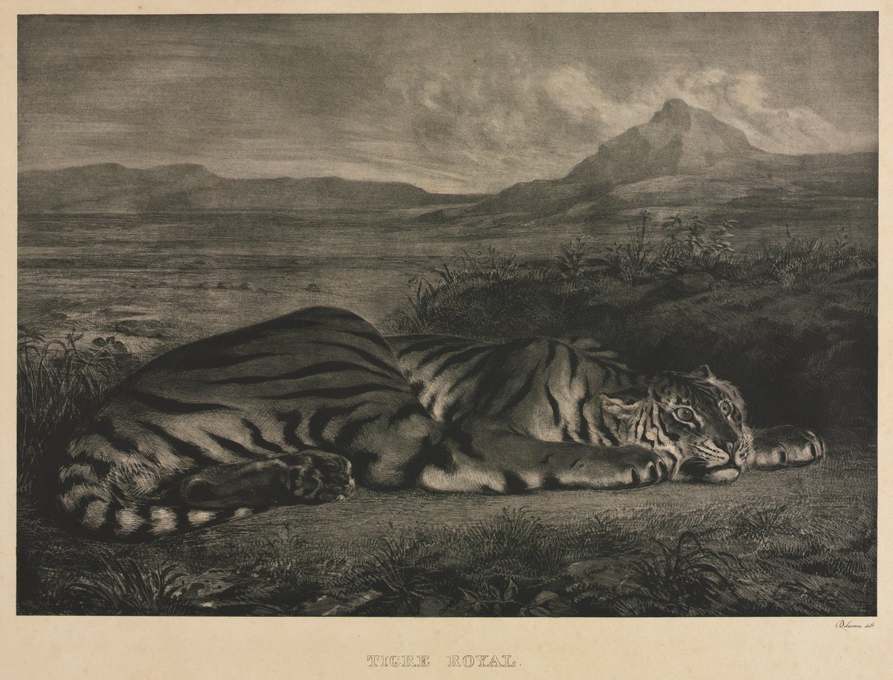 Královský tygr, 1829. od Ferdinand Victor Eugene Delacroix