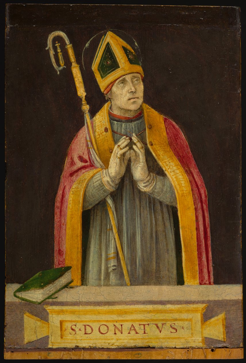 St. Donatus, cca 1490 (tempera na panelu) od Filippino Lippi