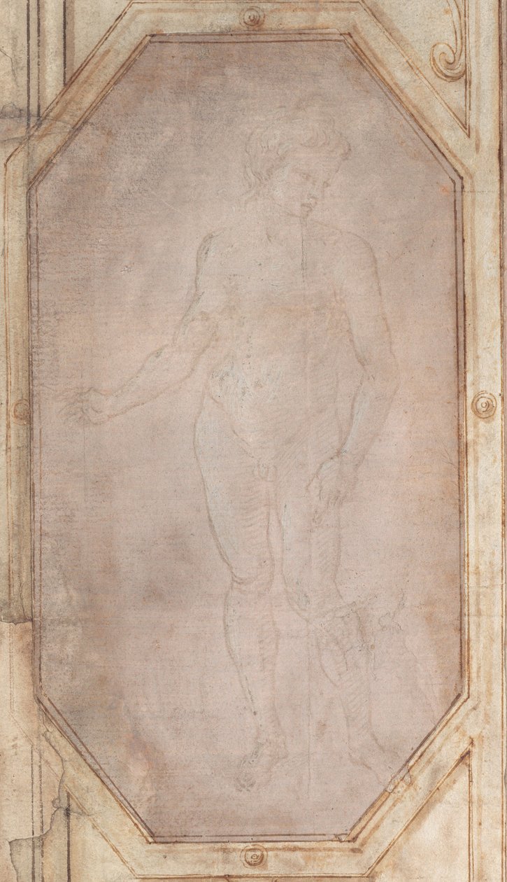 Stojící nahá mládež od Filippino Lippi
