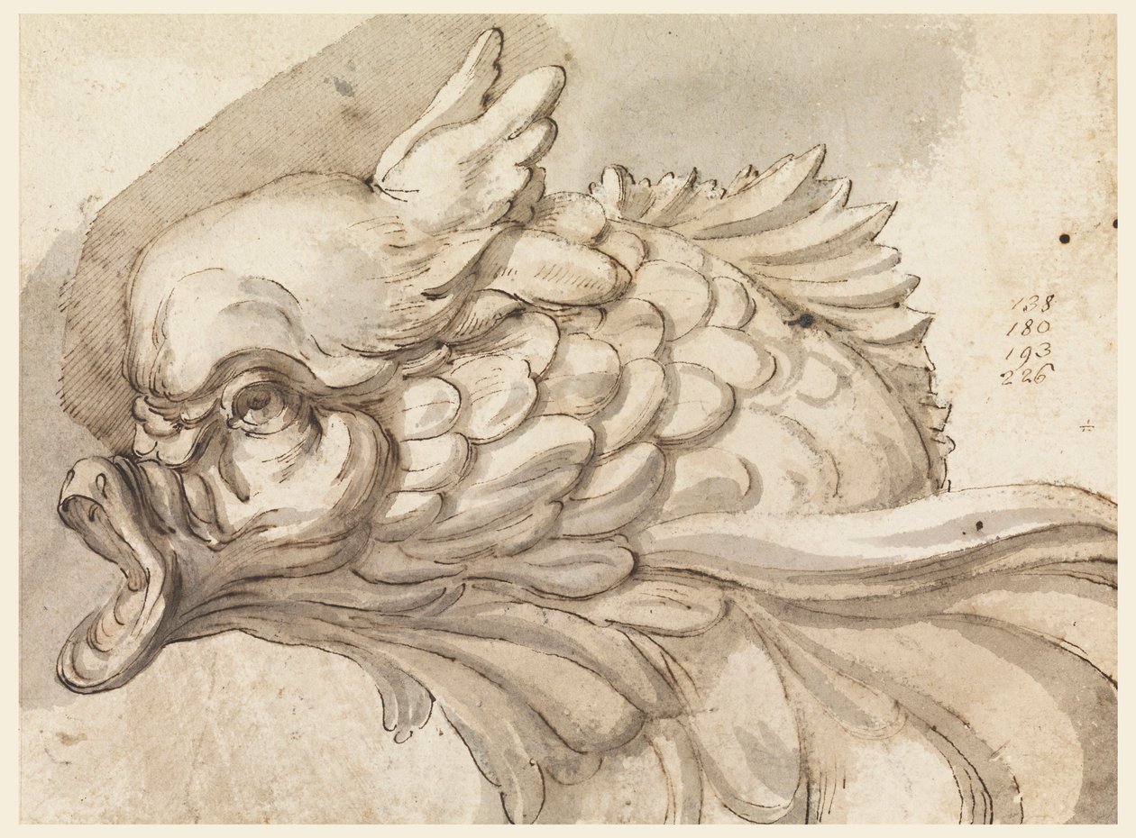 Kresba, hlava delfína, ca. 1775 od Filippo Marchionni